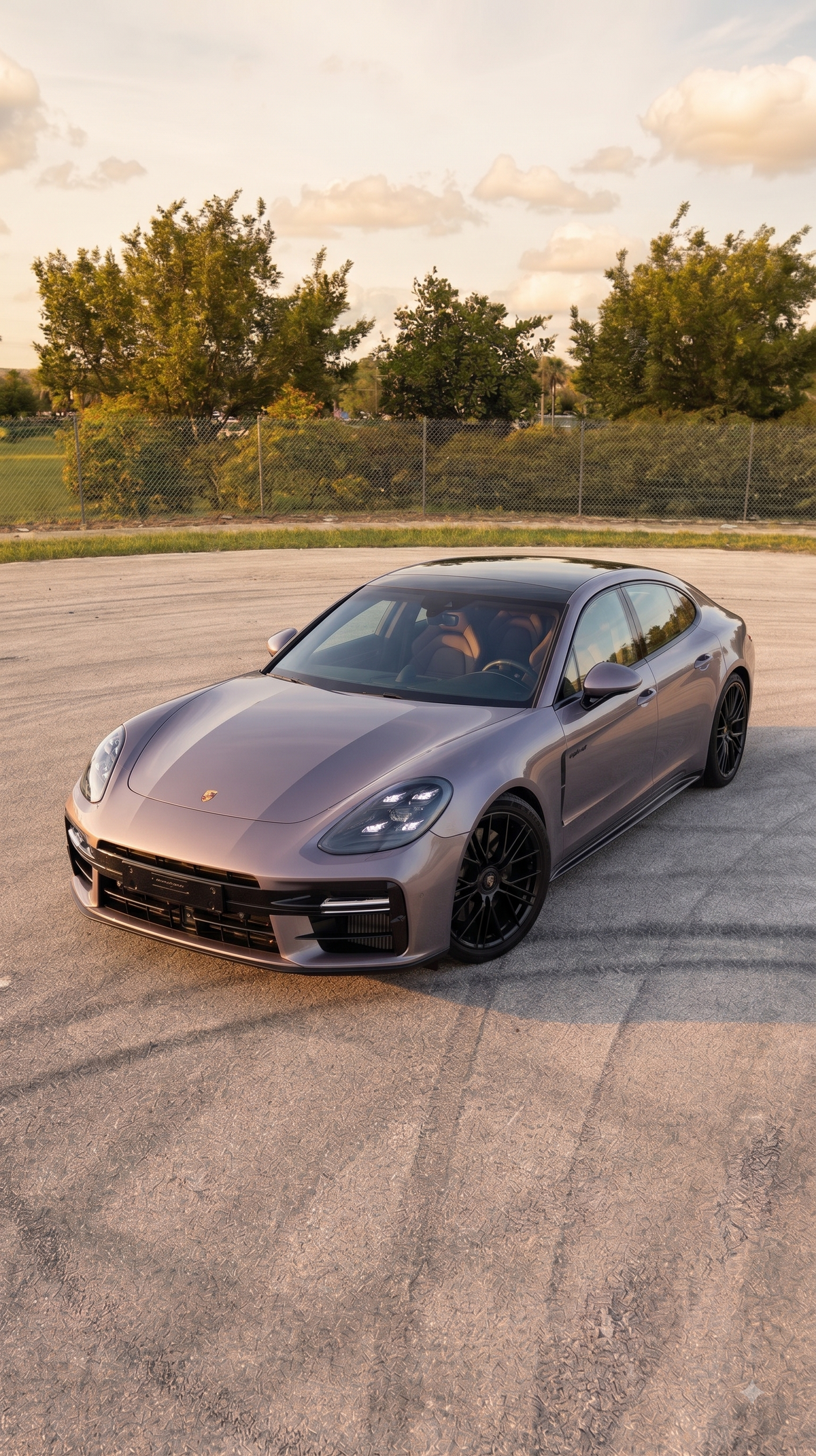 2025+ Porsche Panamera ECU Tune