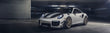 Load image into Gallery viewer, Porsche 991.2 GT2RS / Clubsport ECU Tuning
